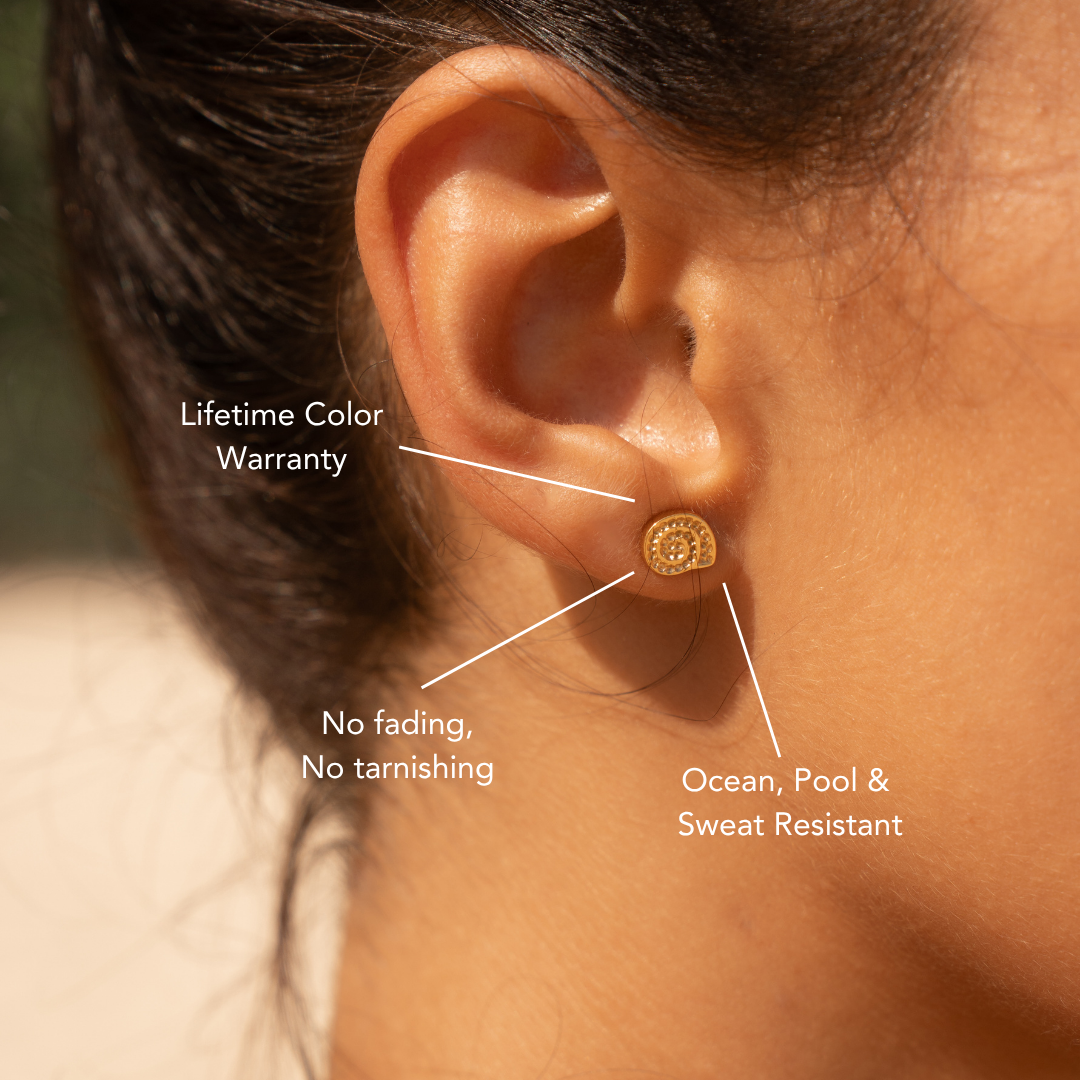 Nautilus Earrings