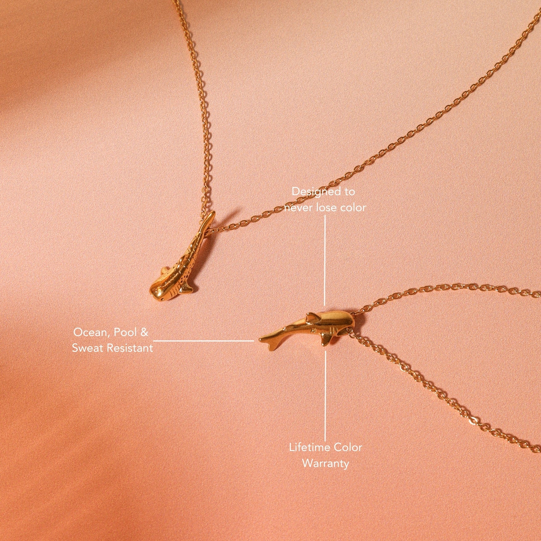 shark-necklace-guide