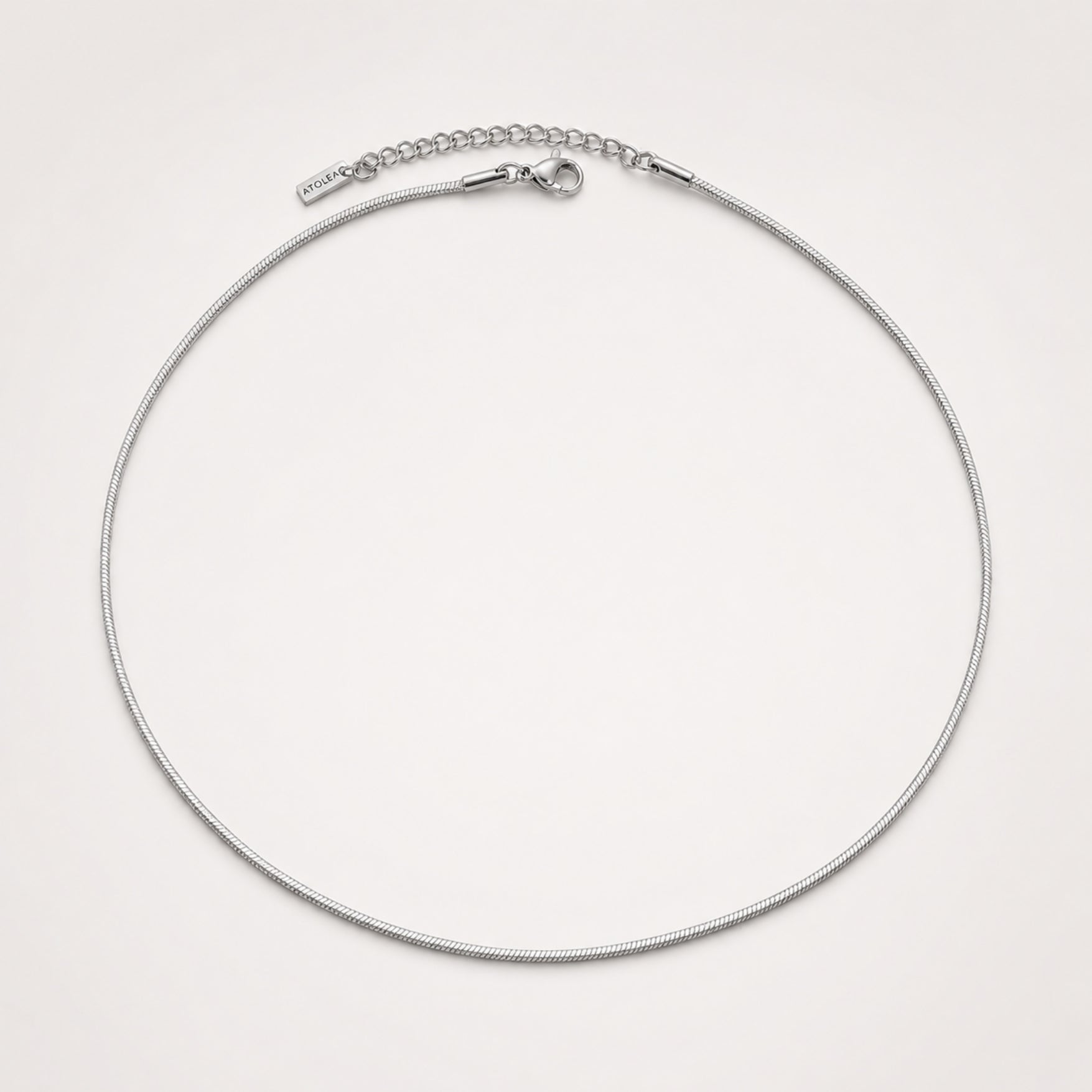 Silver Fine Choker