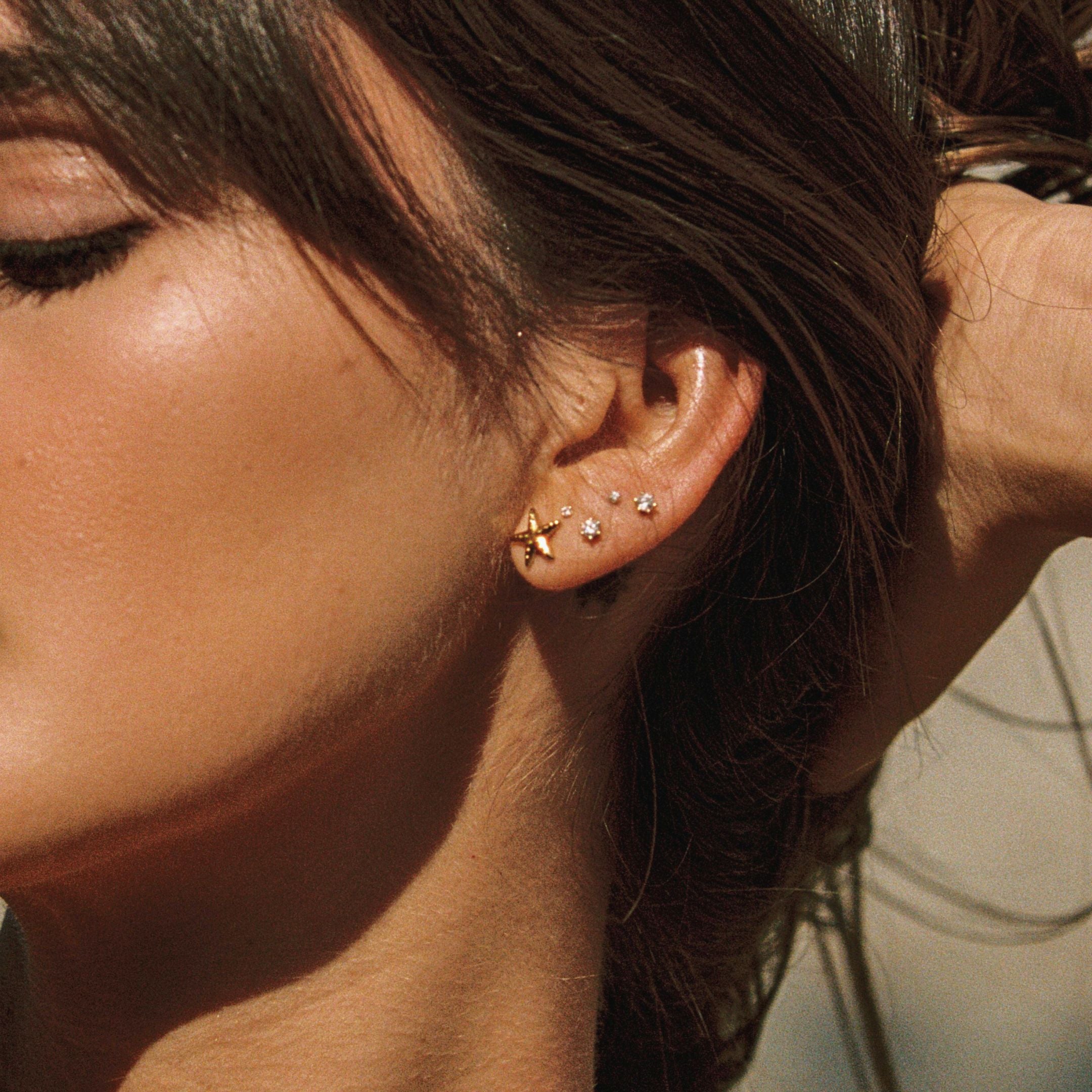Starfish Earrings
