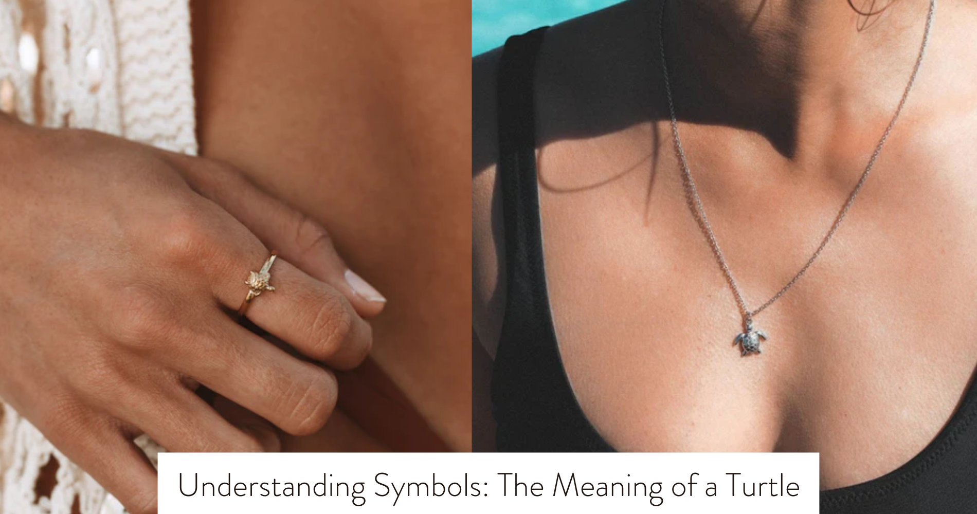 the meaning of a turtle