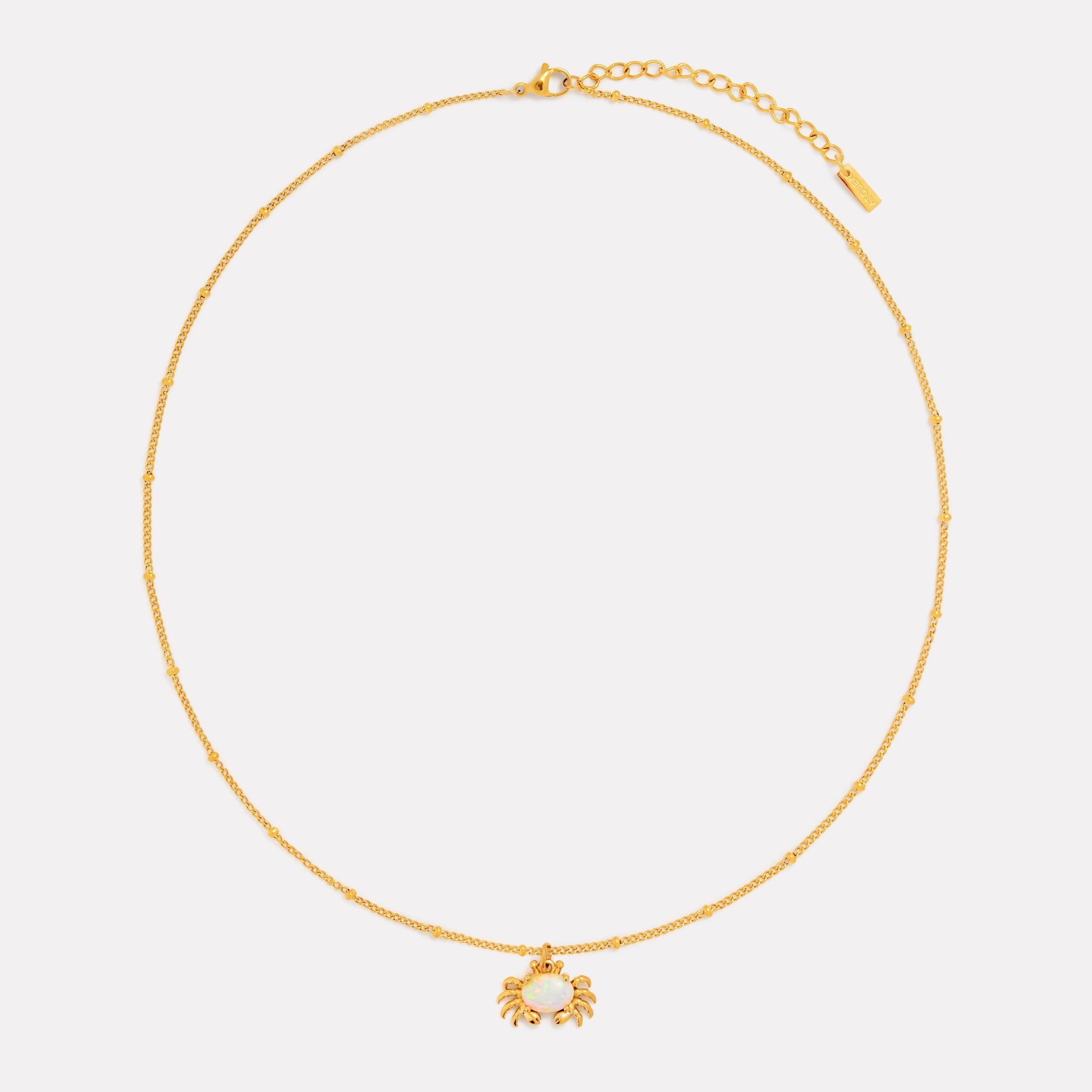 Crab Necklace Front View